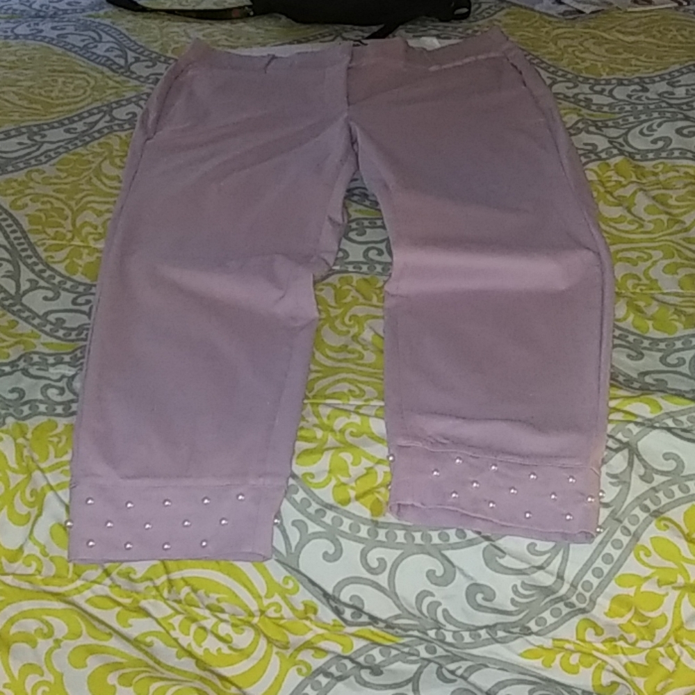 Lane Bryant Allie Pant